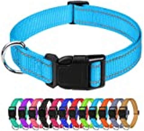 blue dog collars uk